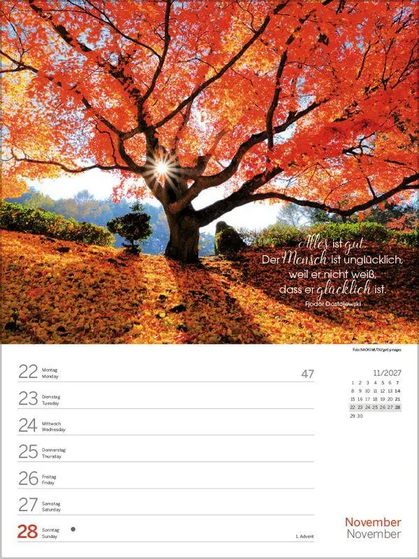Bild: 9783819303227 | Glücksmomente 2027 | Korsch Verlag | Kalender | 54 S. | Deutsch | 2027