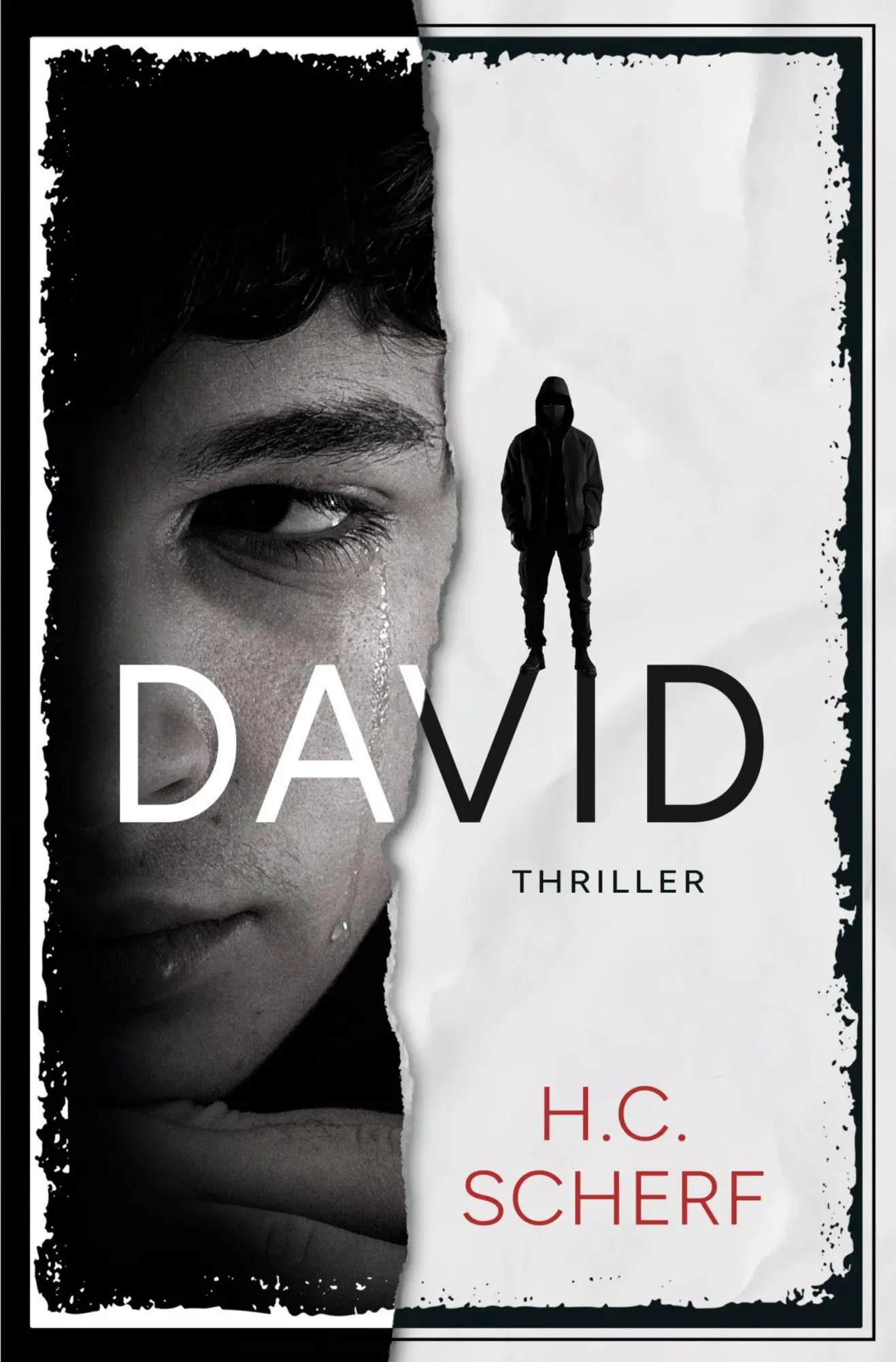 Cover: 9783819473227 | DAVID | H. C. Scherf | Taschenbuch | 280 S. | Deutsch | 2025