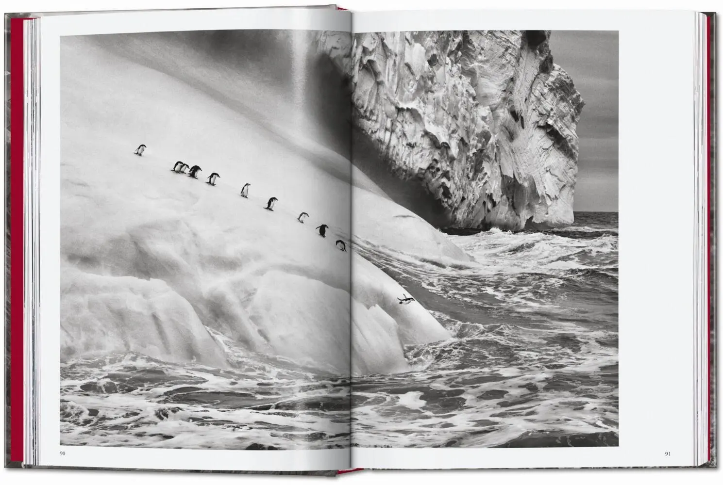 Bild: 9783754403327 | Sebastião Salgado. Genesis. 45th Ed. | Lélia Wanick Salgado | Buch