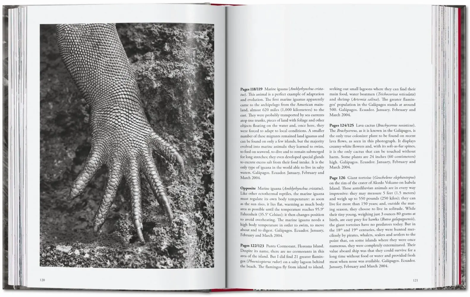 Bild: 9783754403327 | Sebastião Salgado. Genesis. 45th Ed. | Lélia Wanick Salgado | Buch