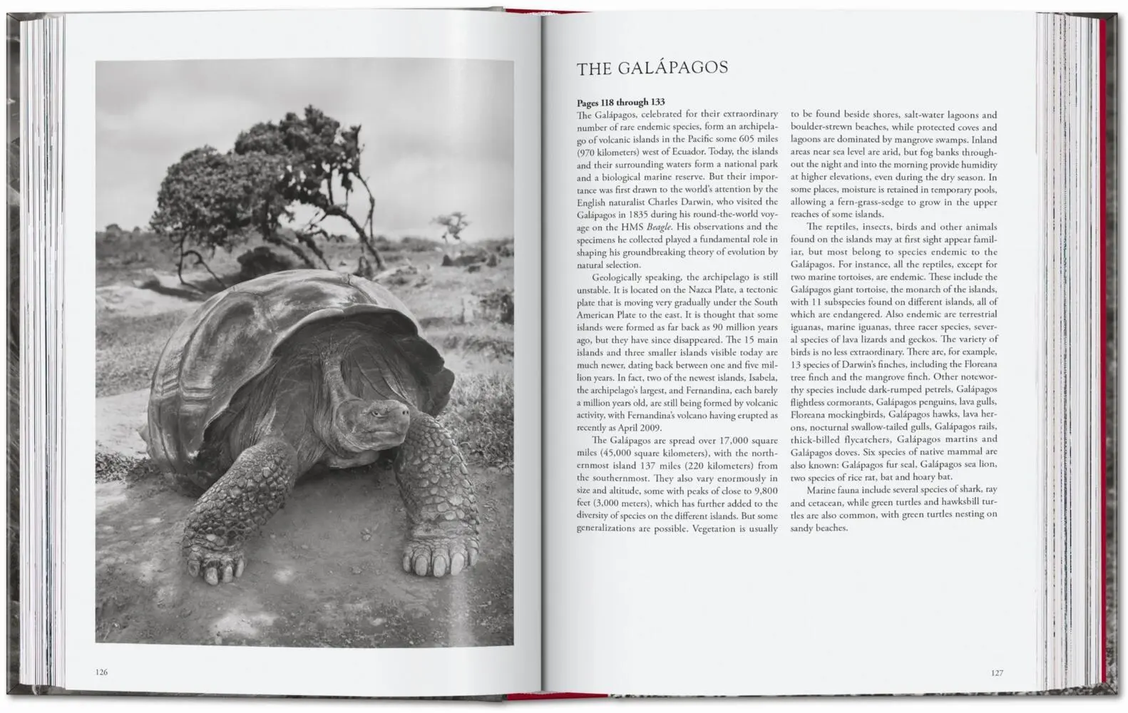 Bild: 9783754403327 | Sebastião Salgado. Genesis. 45th Ed. | Lélia Wanick Salgado | Buch