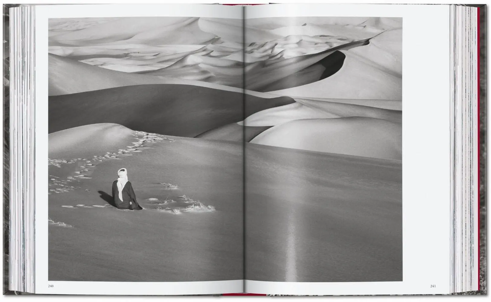 Bild: 9783754403327 | Sebastião Salgado. Genesis. 45th Ed. | Lélia Wanick Salgado | Buch
