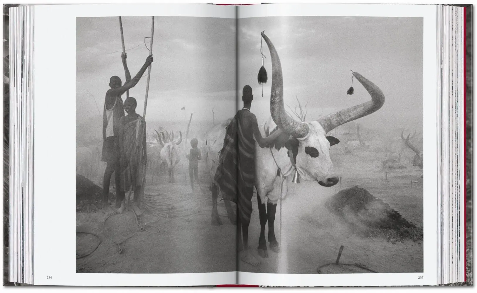 Bild: 9783754403327 | Sebastião Salgado. Genesis. 45th Ed. | Lélia Wanick Salgado | Buch