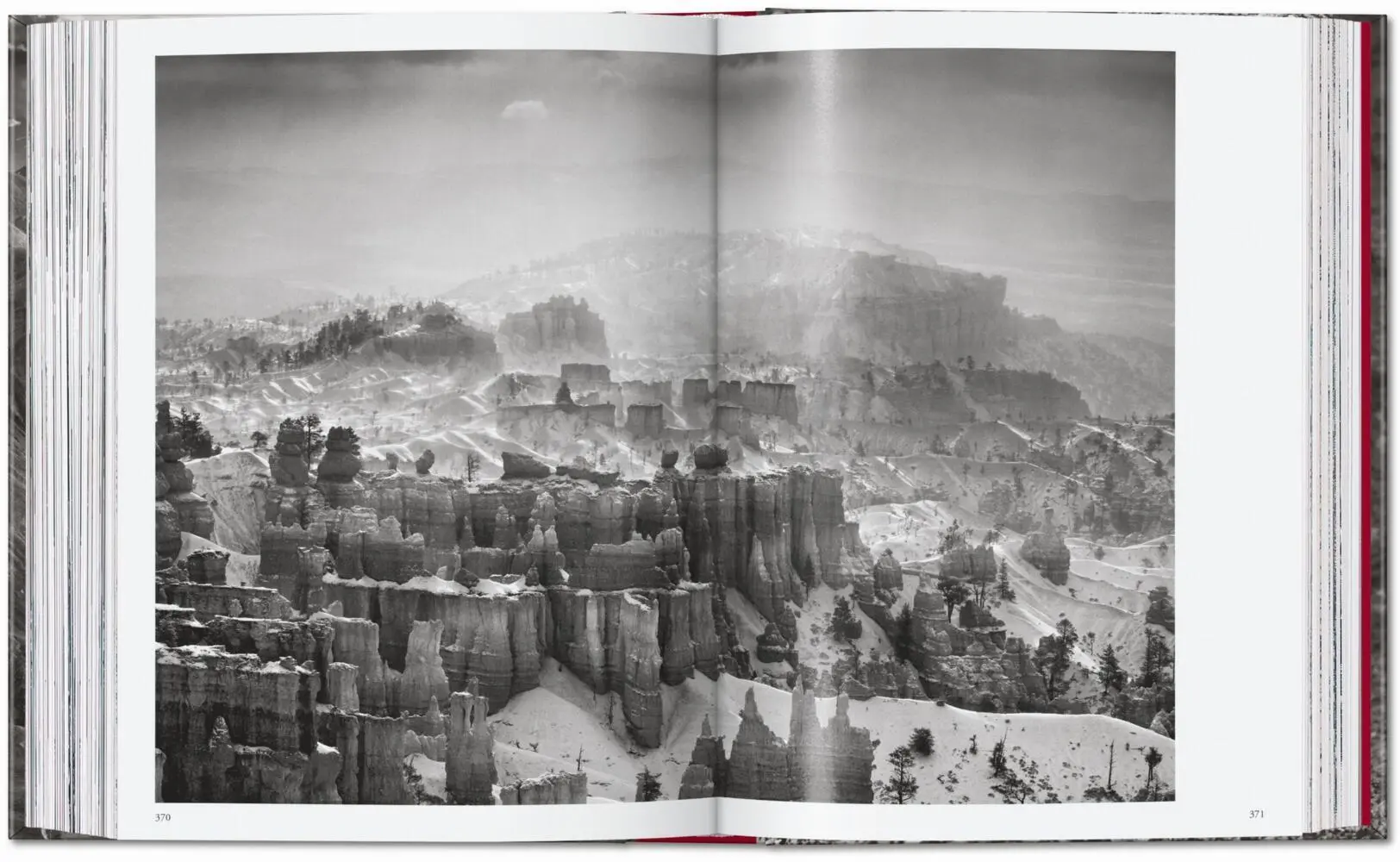Bild: 9783754403327 | Sebastião Salgado. Genesis. 45th Ed. | Lélia Wanick Salgado | Buch