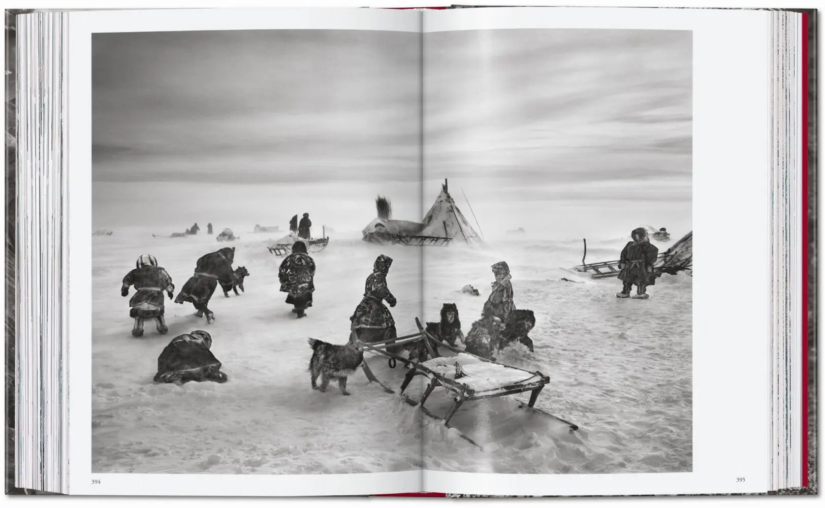 Bild: 9783754403327 | Sebastião Salgado. Genesis. 45th Ed. | Lélia Wanick Salgado | Buch