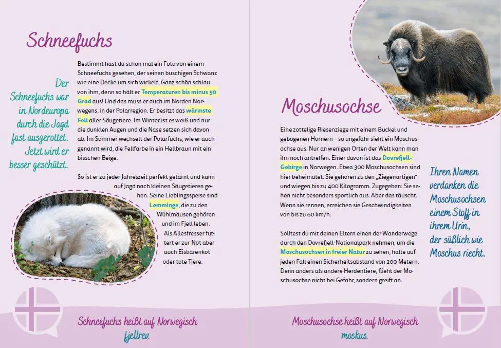 Bild: 9783946323327 | Norwegen for kids | Carolin Jenkner-Kruel | Taschenbuch | 128 S.