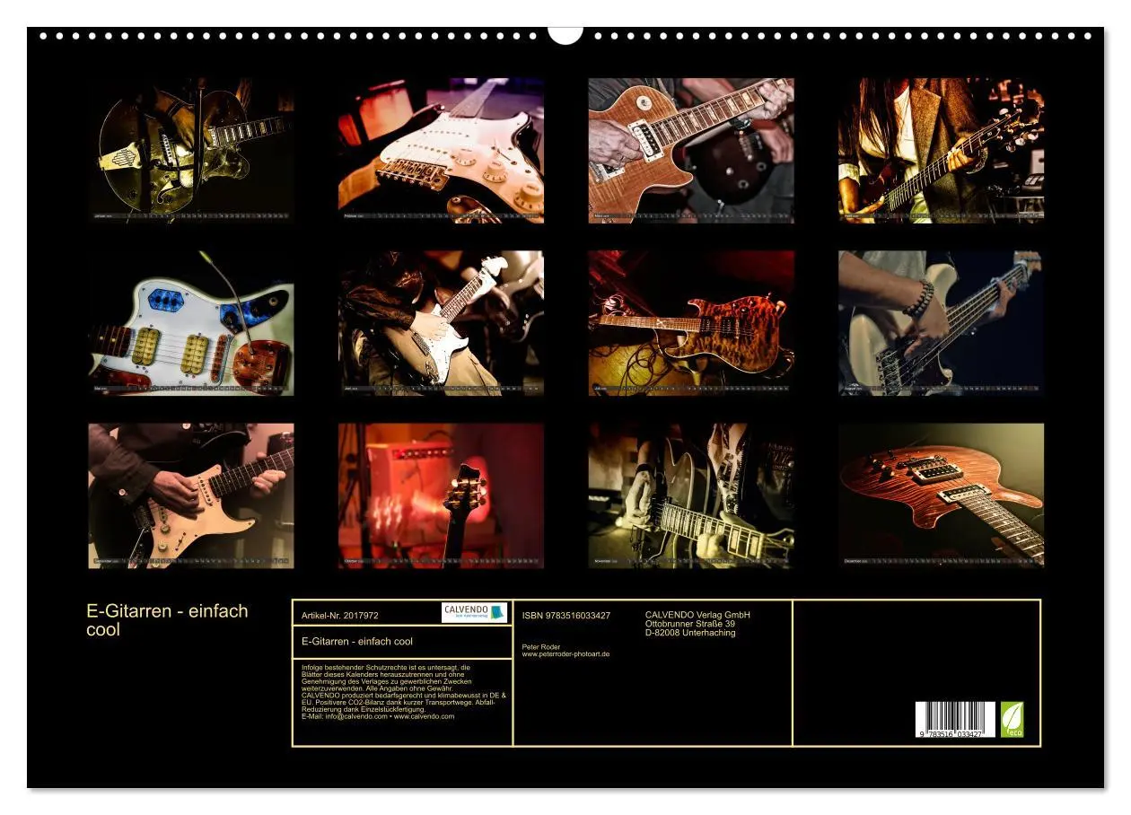 Bild: 9783516033427 | E-Gitarren - einfach cool (Wandkalender 2026 DIN A2 quer), CALVENDO...