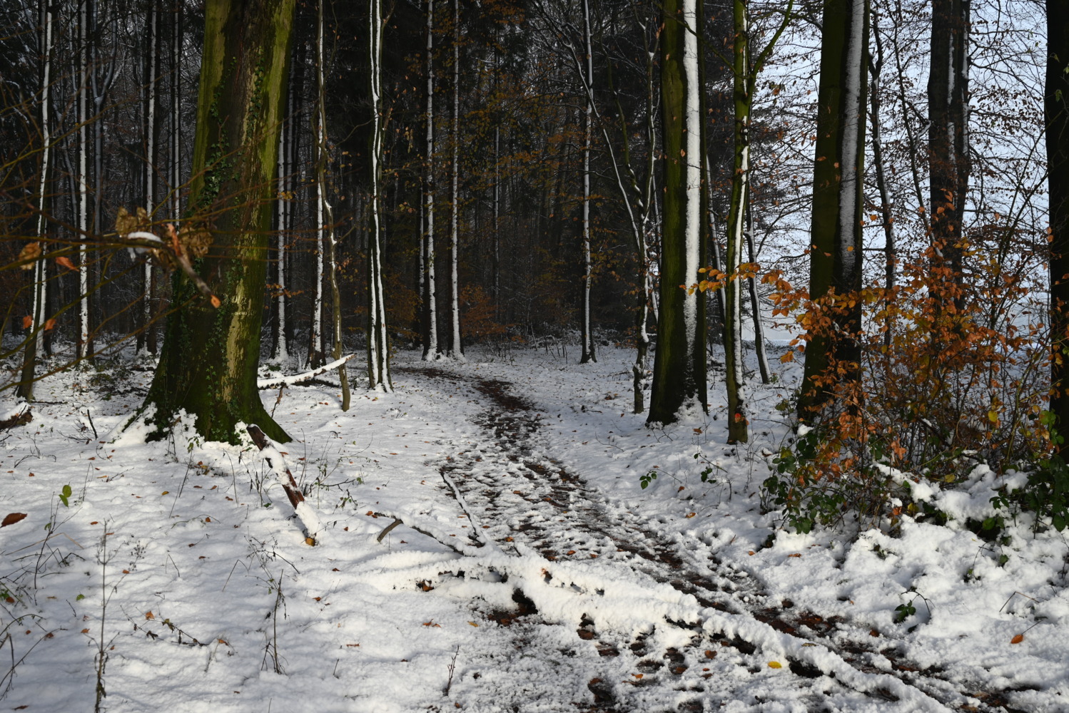 Bild: 9783862923427 | Wandern 2025 Großformat-Kalender 58 x 45,5 cm | Hiking 2025 | Verlag