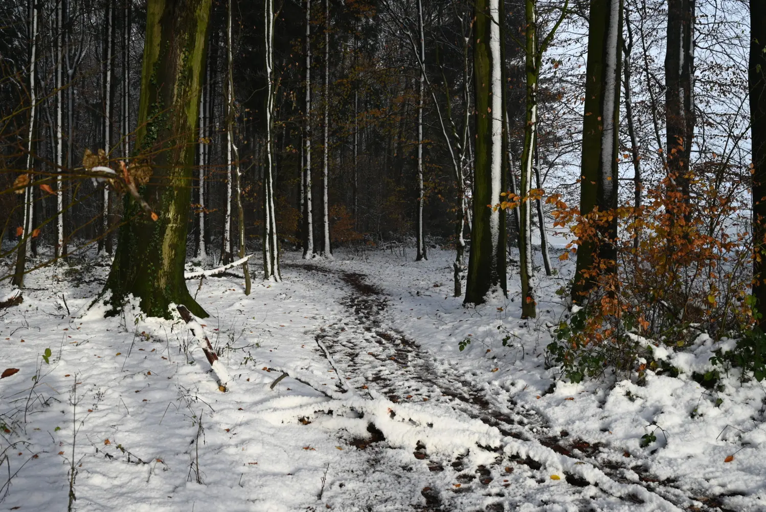 Bild: 9783862923427 | Wandern 2025 Großformat-Kalender 58 x 45,5 cm | Hiking 2025 | Verlag