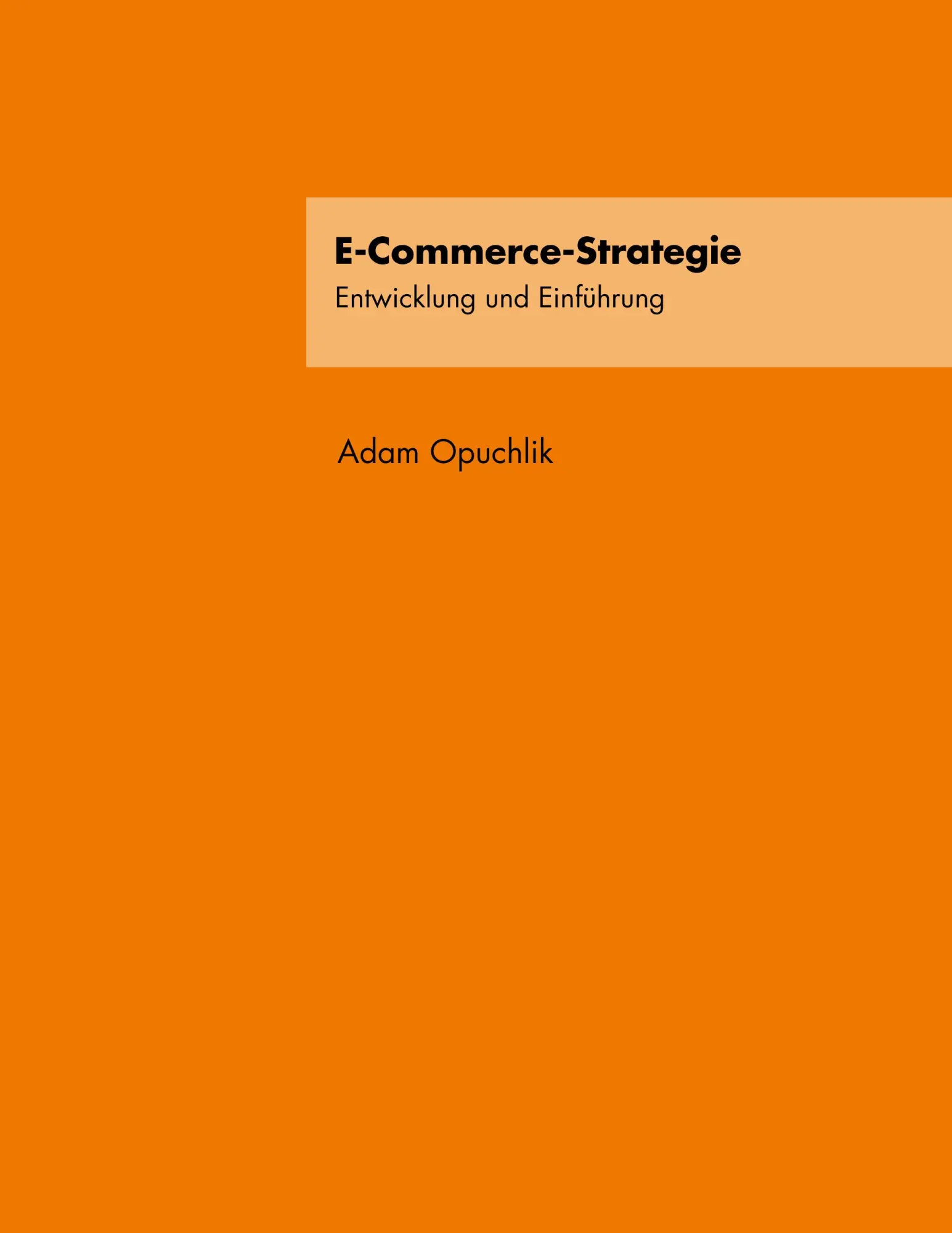 E-Commerce-Strategie: Entwicklung und Einführung