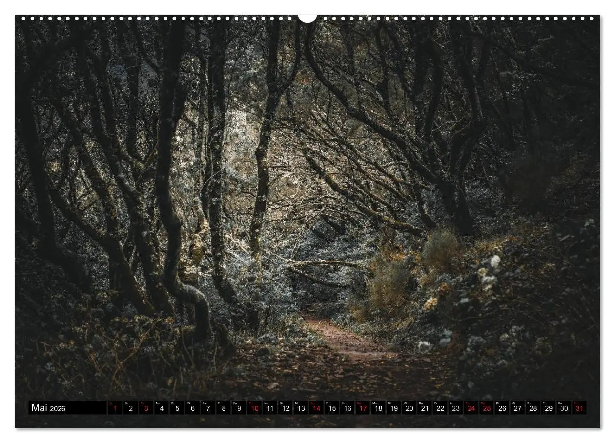 Bild: 9783516013627 | Madeira - Eine Perle des Atlantiks (Wandkalender 2026 DIN A2 quer),...