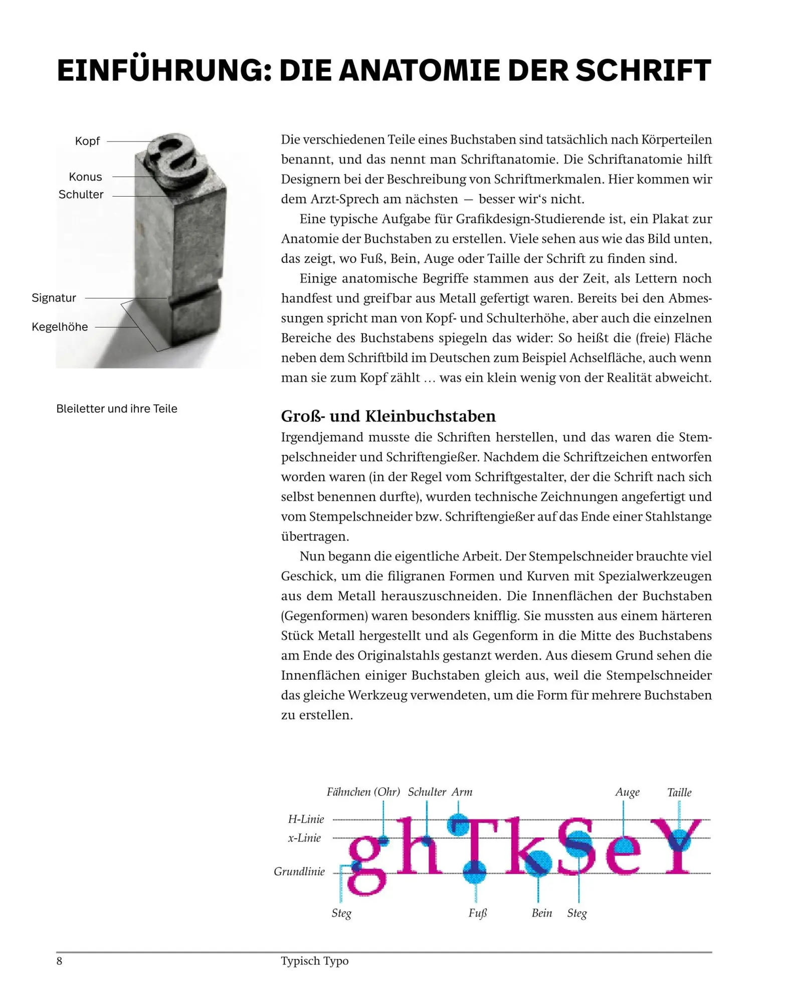 Bild: 9783038763727 | Typisch Typo | Bekannte Schriftarten und ihre Geheimnisse | Buch