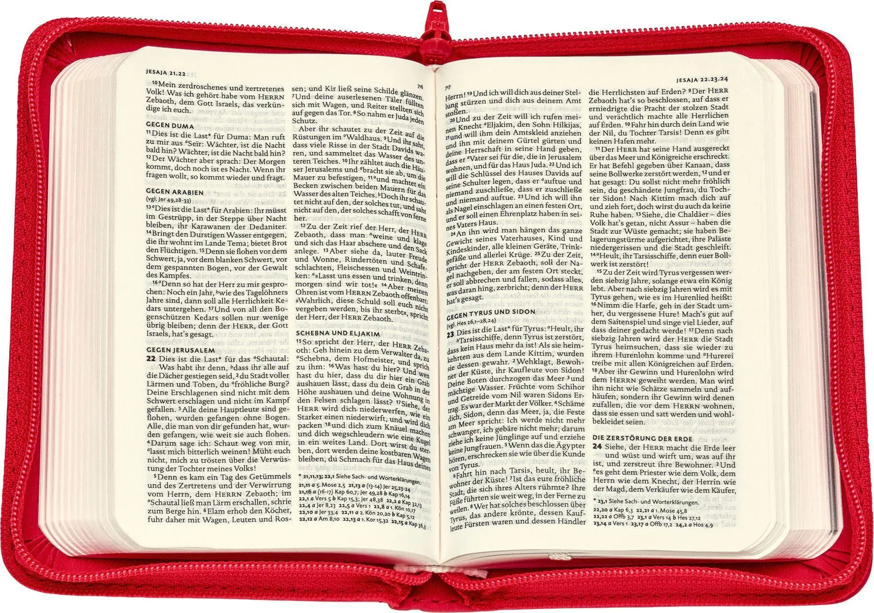 Bild: 9783438033727 | Lutherbibel - Senfkornausgabe mit Reißverschluss | Martin Luther