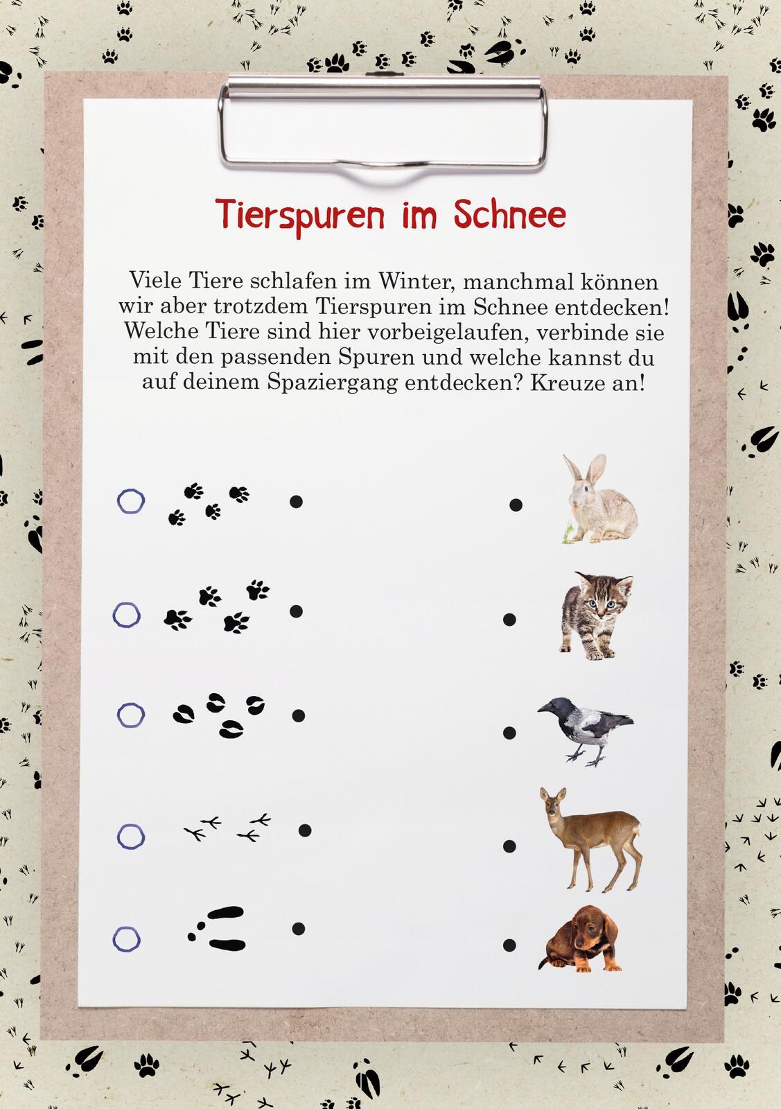 Bild: 9783845853727 | Abenteuer-Spaziergänge Im Winter | Erleben - Spielen - Entdecken