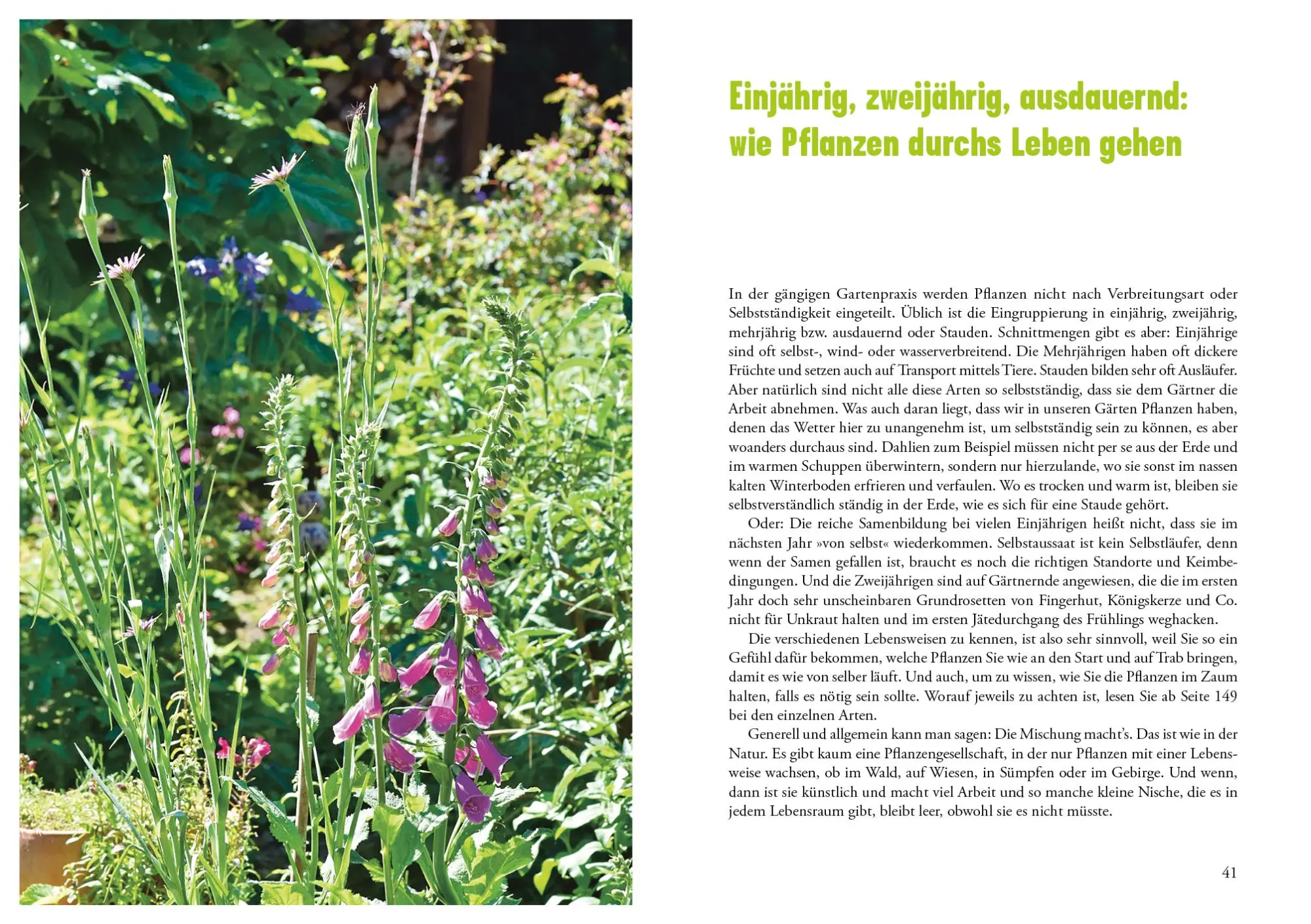 Bild: 9783895663727 | Selbst ist die Pflanze | Sigrid Tinz | Buch | 176 S. | Deutsch | 2017