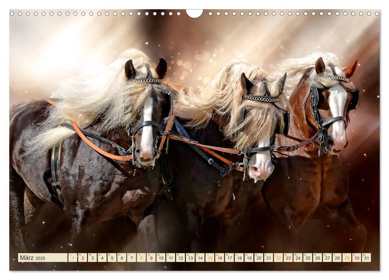 Bild: 9783435293827 | Eleganz und Schönheit - Pferde (Wandkalender 2025 DIN A3 quer),...