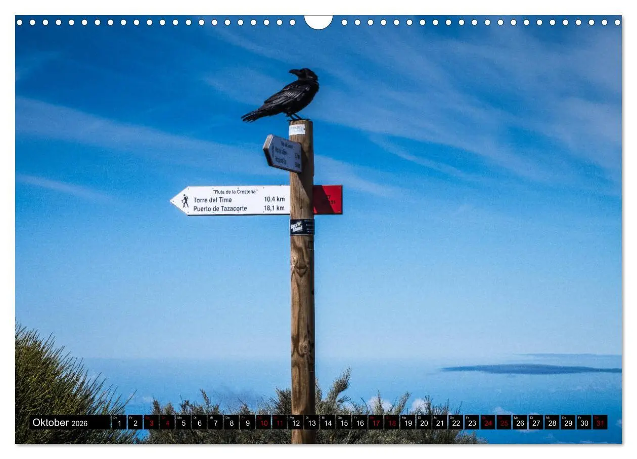 Bild: 9783457833827 | Natur pur erleben auf La Palma (Wandkalender 2026 DIN A3 quer),...