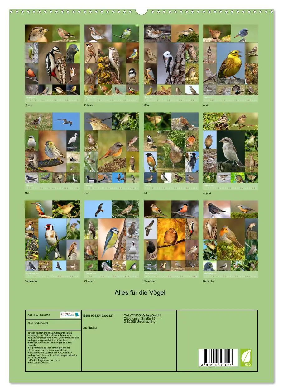 Bild: 9783516303827 | Alles für die Vögel (hochwertiger Premium Wandkalender 2026 DIN A2...