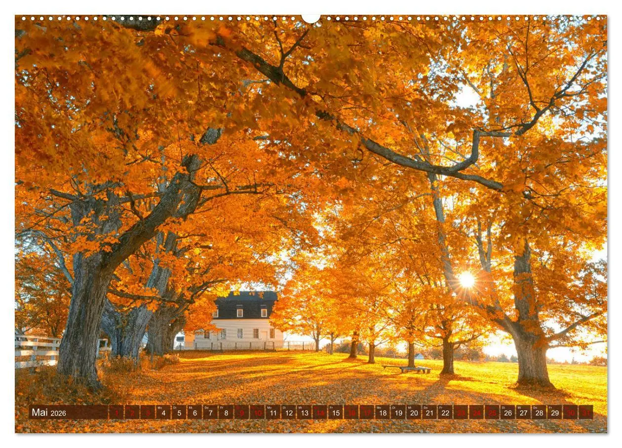 Bild: 9783457373927 | Neu England, Indian Summer (hochwertiger Premium Wandkalender 2026...