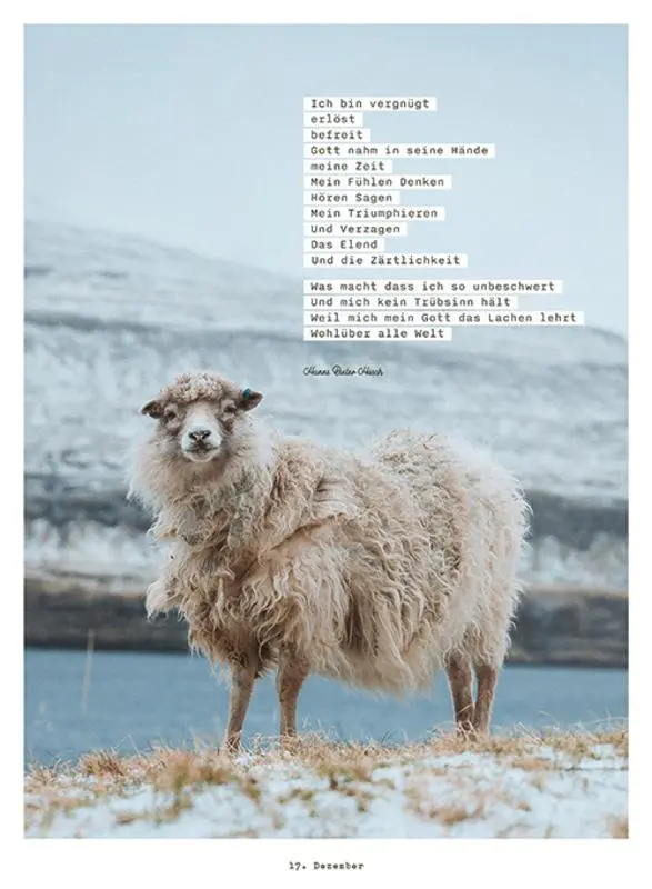 Bild: 9783863343927 | Leuchttage - Dein Begleiter durch den Advent | Anne Weigel | Kalender