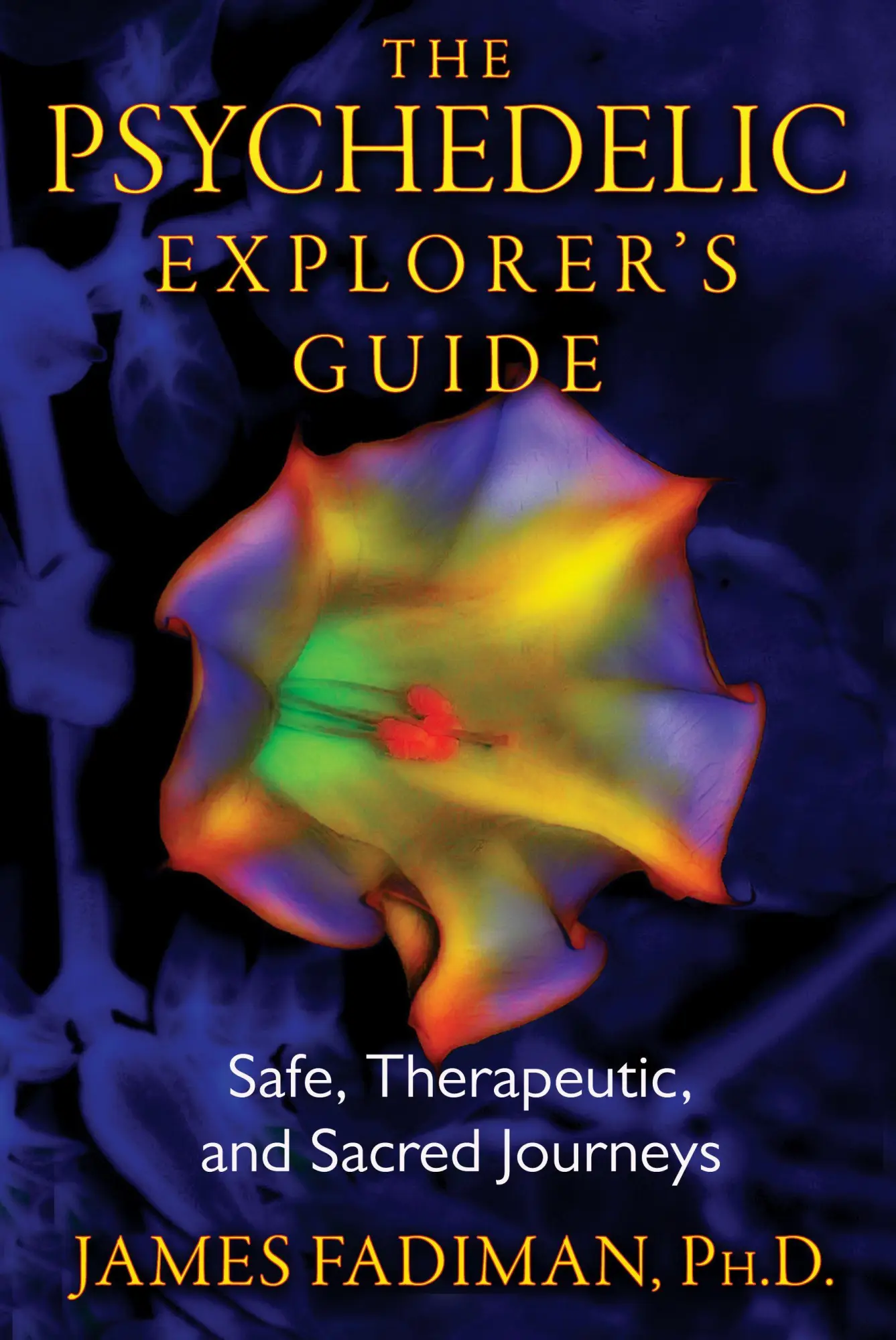 Cover: 9781594774027 | The Psychedelic Explorer's Guide | James Fadiman | Taschenbuch | 2011