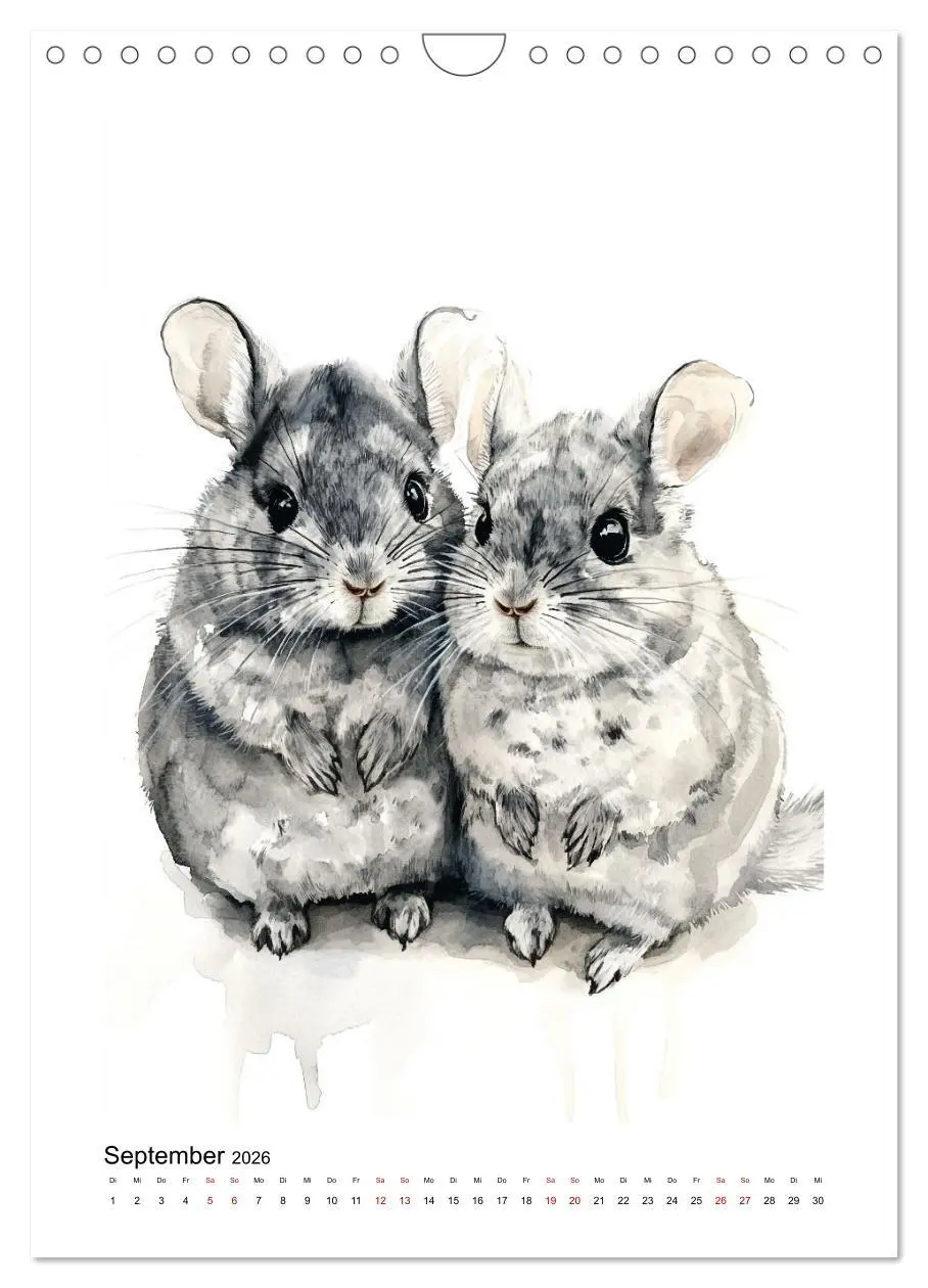 Bild: 9783457264027 | Knuddlige Chinchillas (Wandkalender 2026 DIN A4 hoch), CALVENDO...