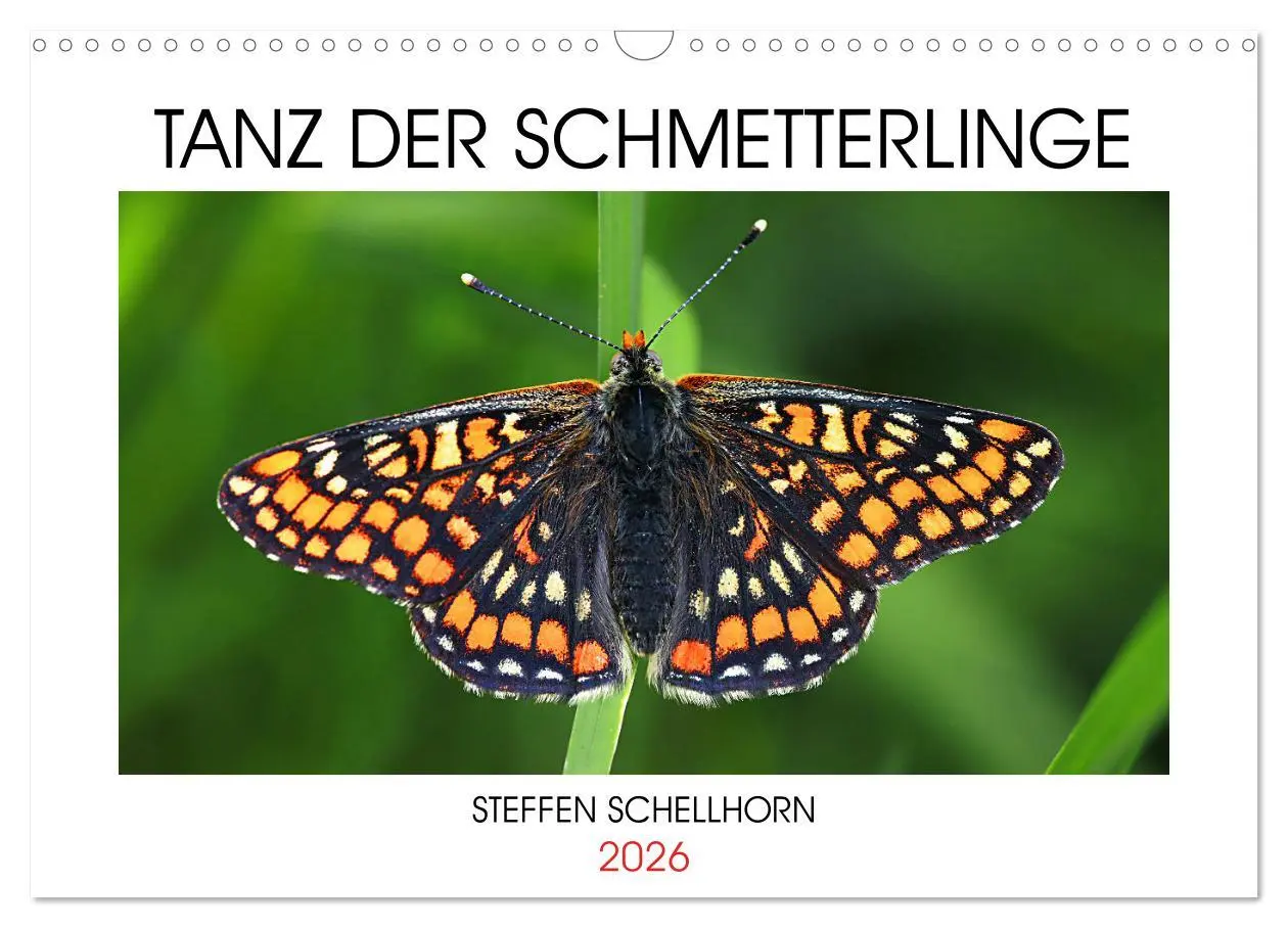 Cover: 9783457644027 | TANZ DER SCHMETTERLINGE (Wandkalender 2026 DIN A3 quer), CALVENDO...