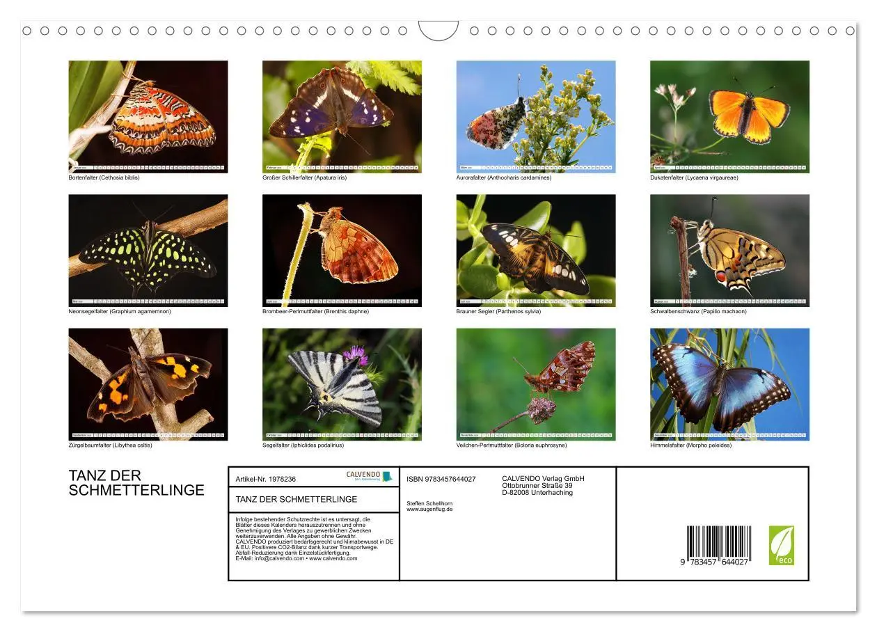 Bild: 9783457644027 | TANZ DER SCHMETTERLINGE (Wandkalender 2026 DIN A3 quer), CALVENDO...