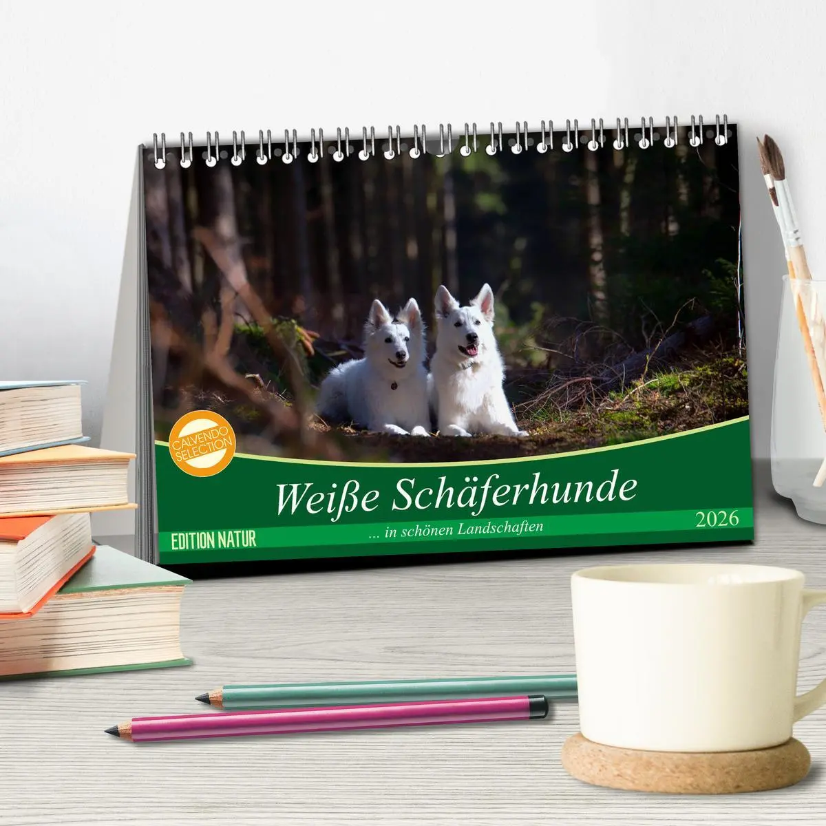 Bild: 9783457884027 | Weiße Schäferhunde in schönen Landschaften (Tischkalender 2026 DIN...