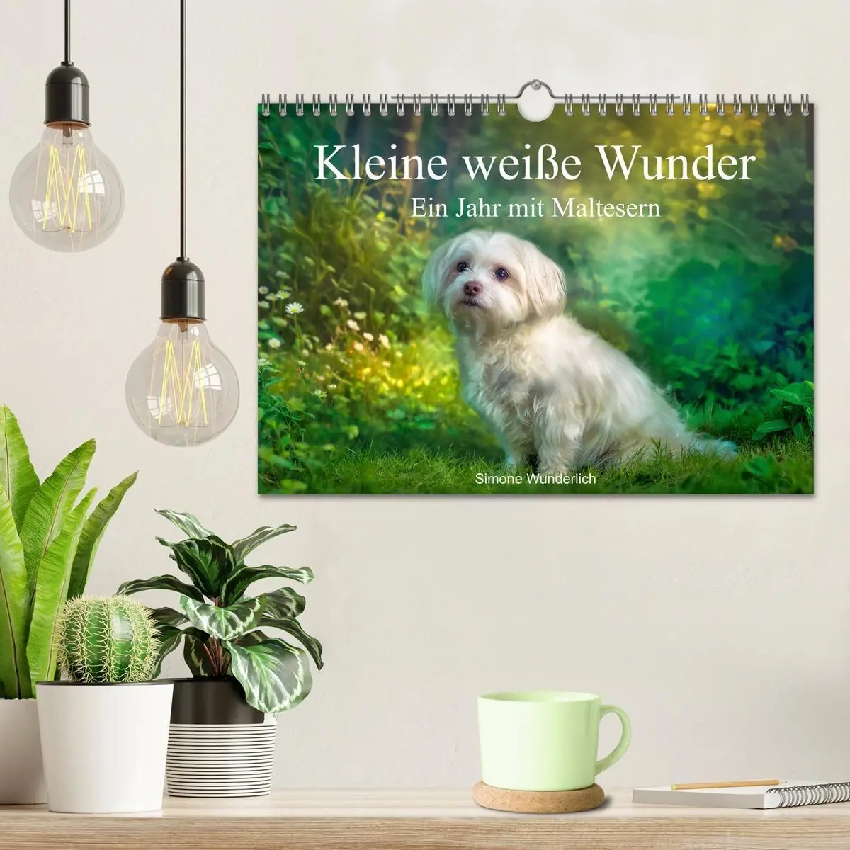 Bild: 9783516804027 | Kleine weiße Wunder - ein Jahr mit Maltesern (Wandkalender 2027 DIN...