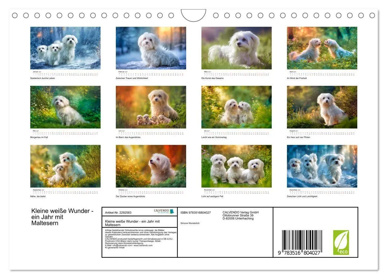Bild: 9783516804027 | Kleine weiße Wunder - ein Jahr mit Maltesern (Wandkalender 2027 DIN...