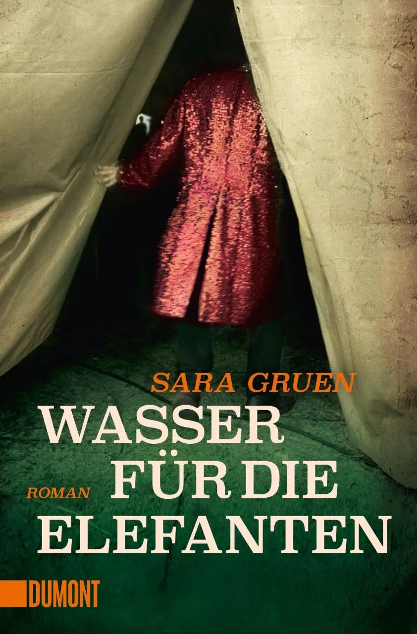 Cover: 9783832164027 | Wasser für die Elefanten | Sara Gruen | Taschenbuch | 397 S. | Deutsch