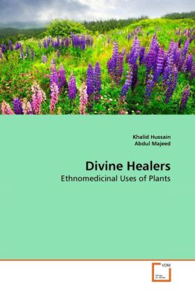Divine Healers | Ethnomedicinal Uses of Plants | Khalid Hussain (u. a.) | Taschenbuch | Englisch | VDM Verlag Dr. Müller | EAN 9783639274127 - Hussain, Khalid
