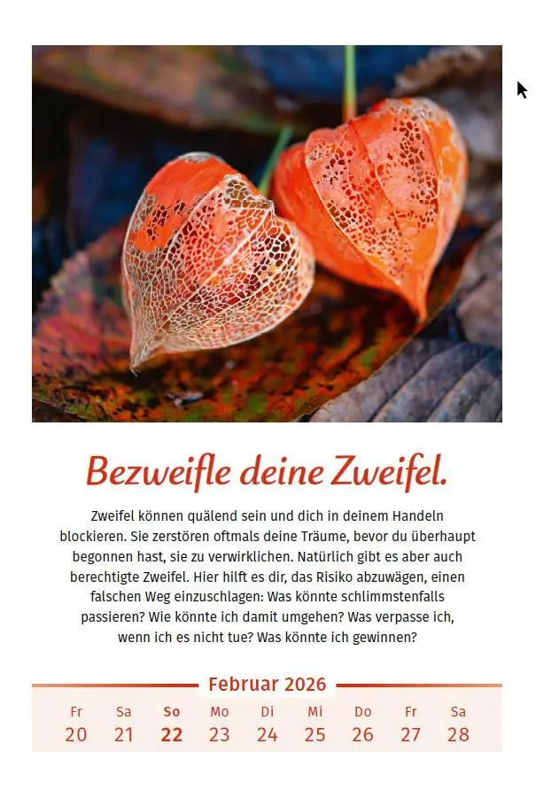 Bild: 9783910294127 | Der Lebensfreude-Kalender 2026 im Großformat | Doris Wolf (u. a.)
