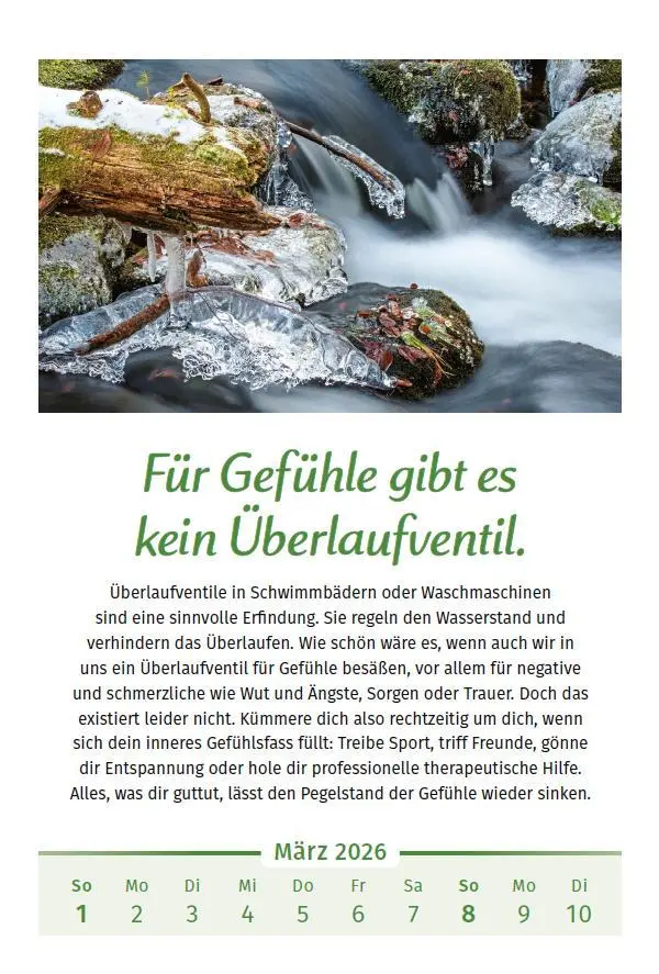 Bild: 9783910294127 | Der Lebensfreude-Kalender 2026 im Großformat | Doris Wolf (u. a.)