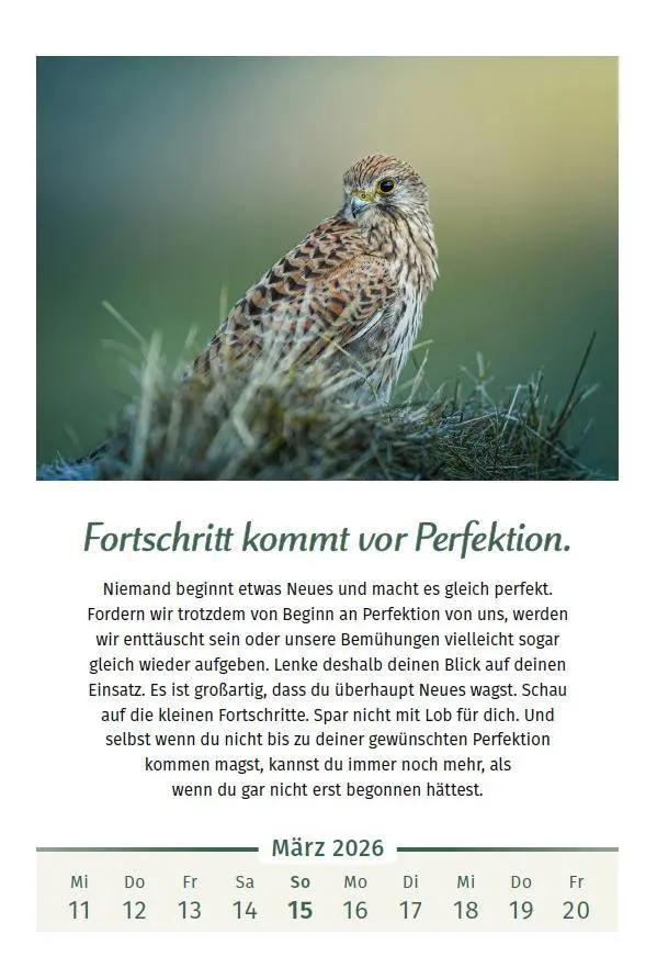 Bild: 9783910294127 | Der Lebensfreude-Kalender 2026 im Großformat | Doris Wolf (u. a.)