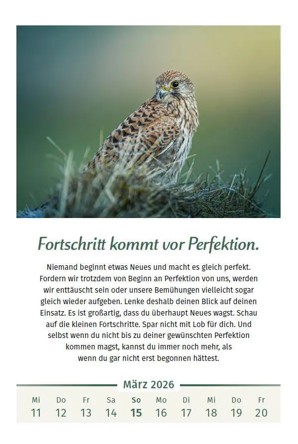 Bild: 9783910294127 | Der Lebensfreude-Kalender 2026 im Großformat | Doris Wolf (u. a.)
