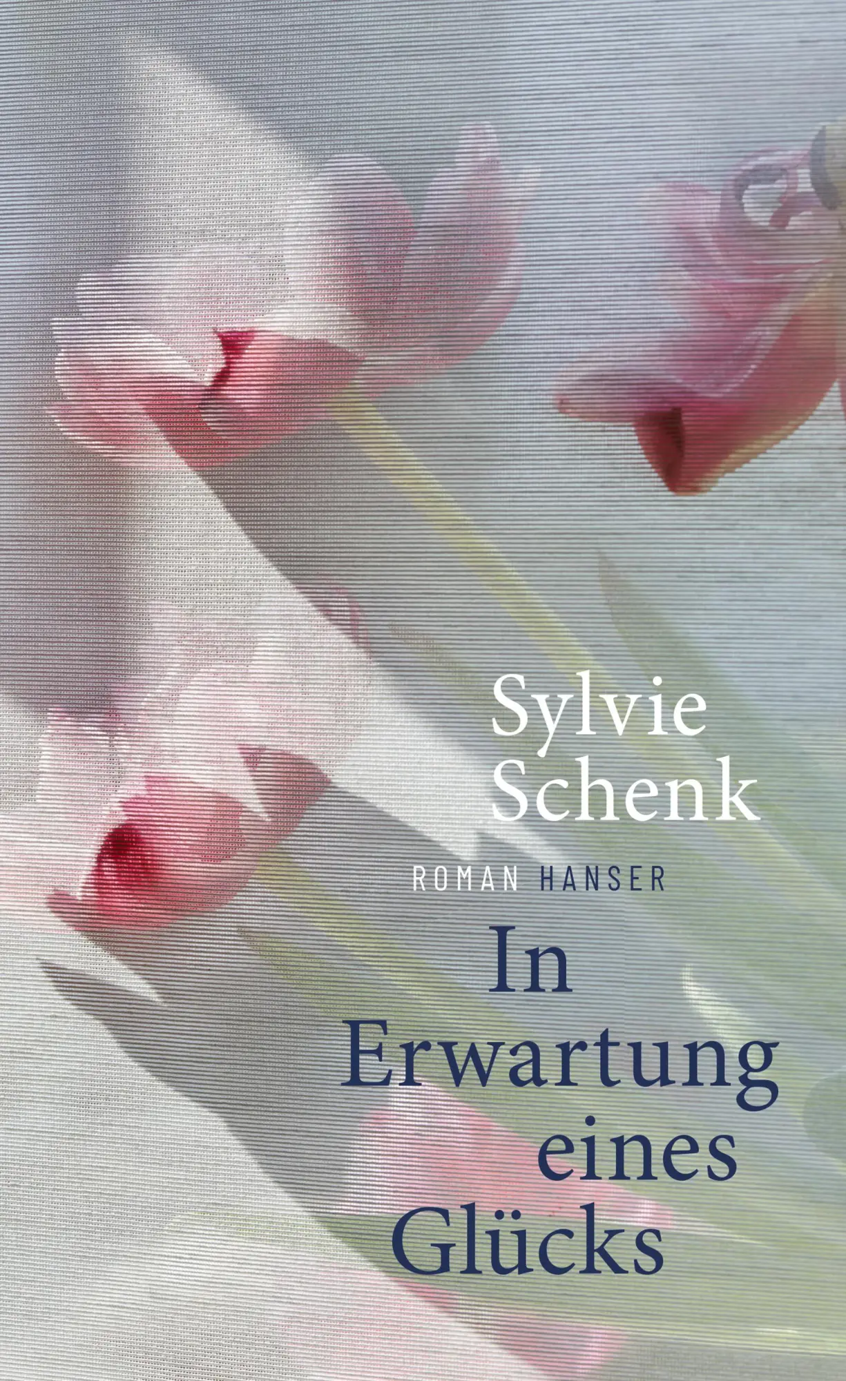 Cover: 9783446284227 | In Erwartung eines Glücks | Roman | Sylvie Schenk | Buch | 176 S.