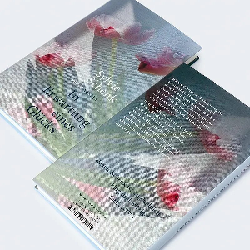 Bild: 9783446284227 | In Erwartung eines Glücks | Roman | Sylvie Schenk | Buch | 176 S.