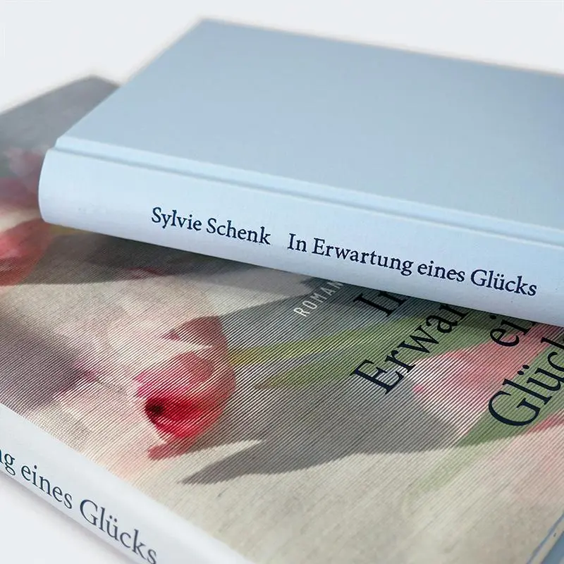 Bild: 9783446284227 | In Erwartung eines Glücks | Roman | Sylvie Schenk | Buch | 176 S.