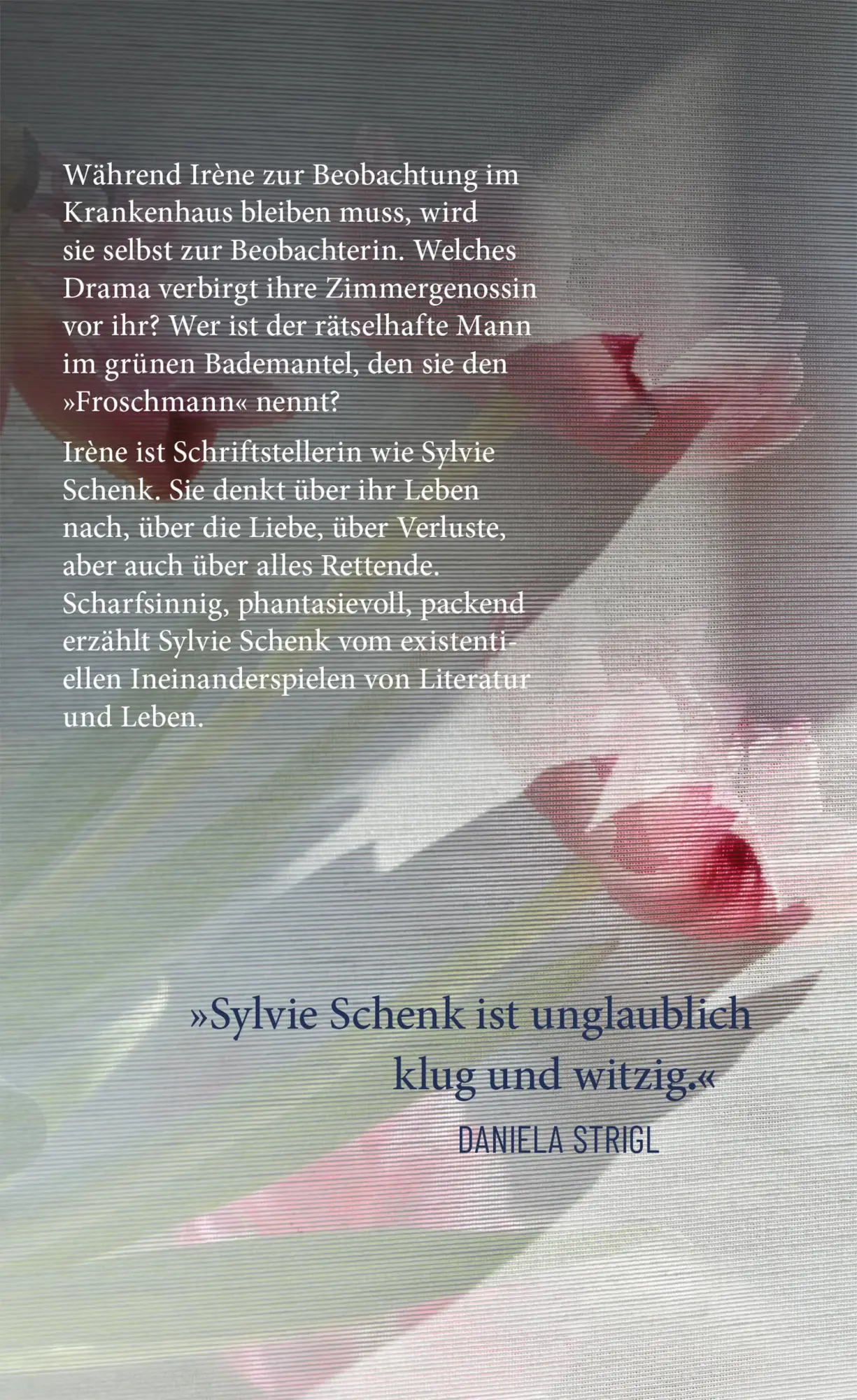 Bild: 9783446284227 | In Erwartung eines Glücks | Roman | Sylvie Schenk | Buch | 176 S.
