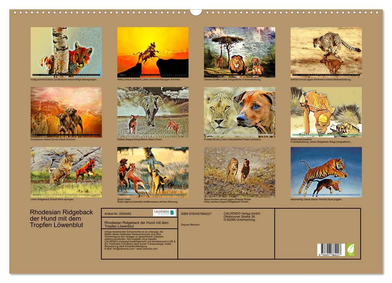 Bild: 9783457864227 | Rhodesian Ridgeback der Hund mit dem Tropfen Löwenblut...