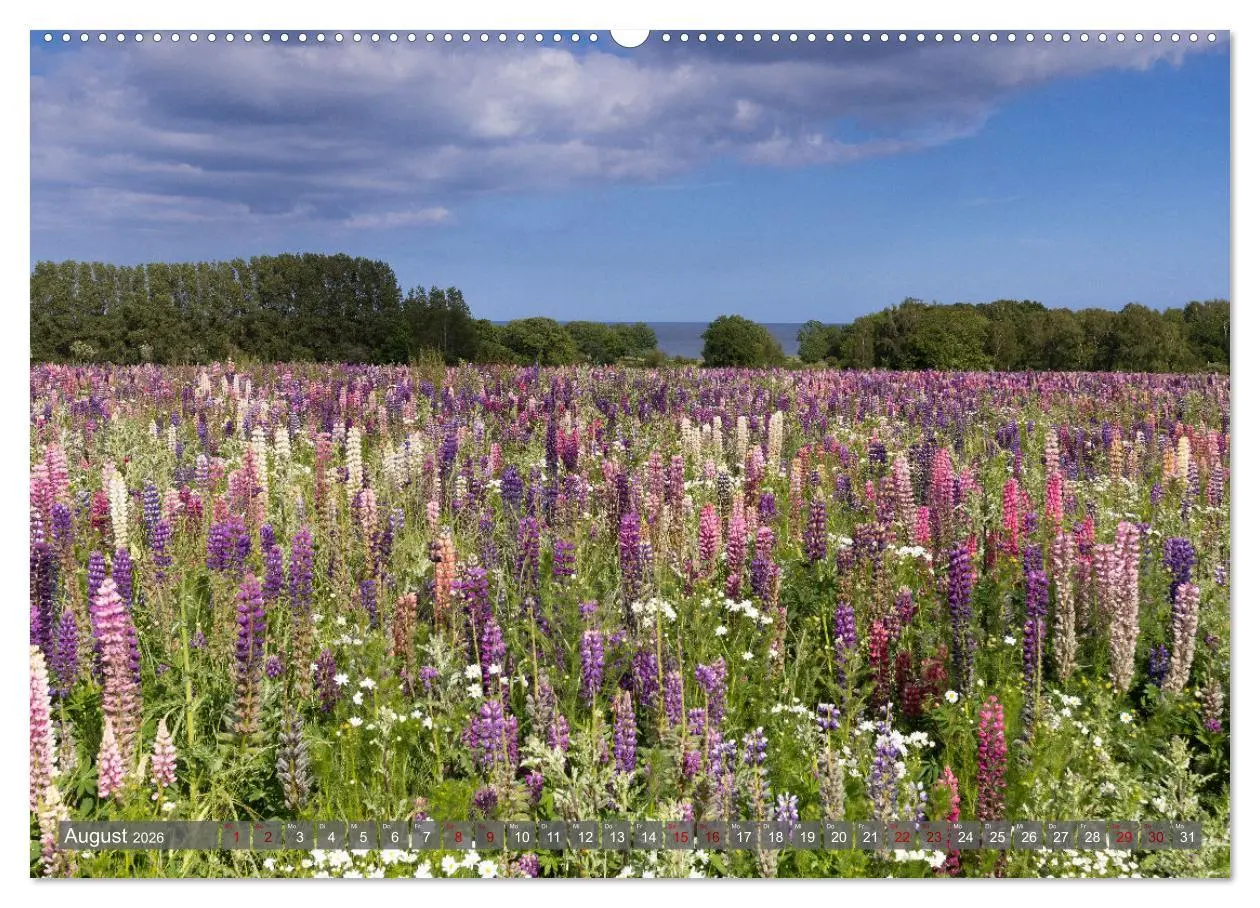 Bild: 9783457544327 | Bornholm Juwel der Ostsee (Wandkalender 2026 DIN A2 quer), CALVENDO...