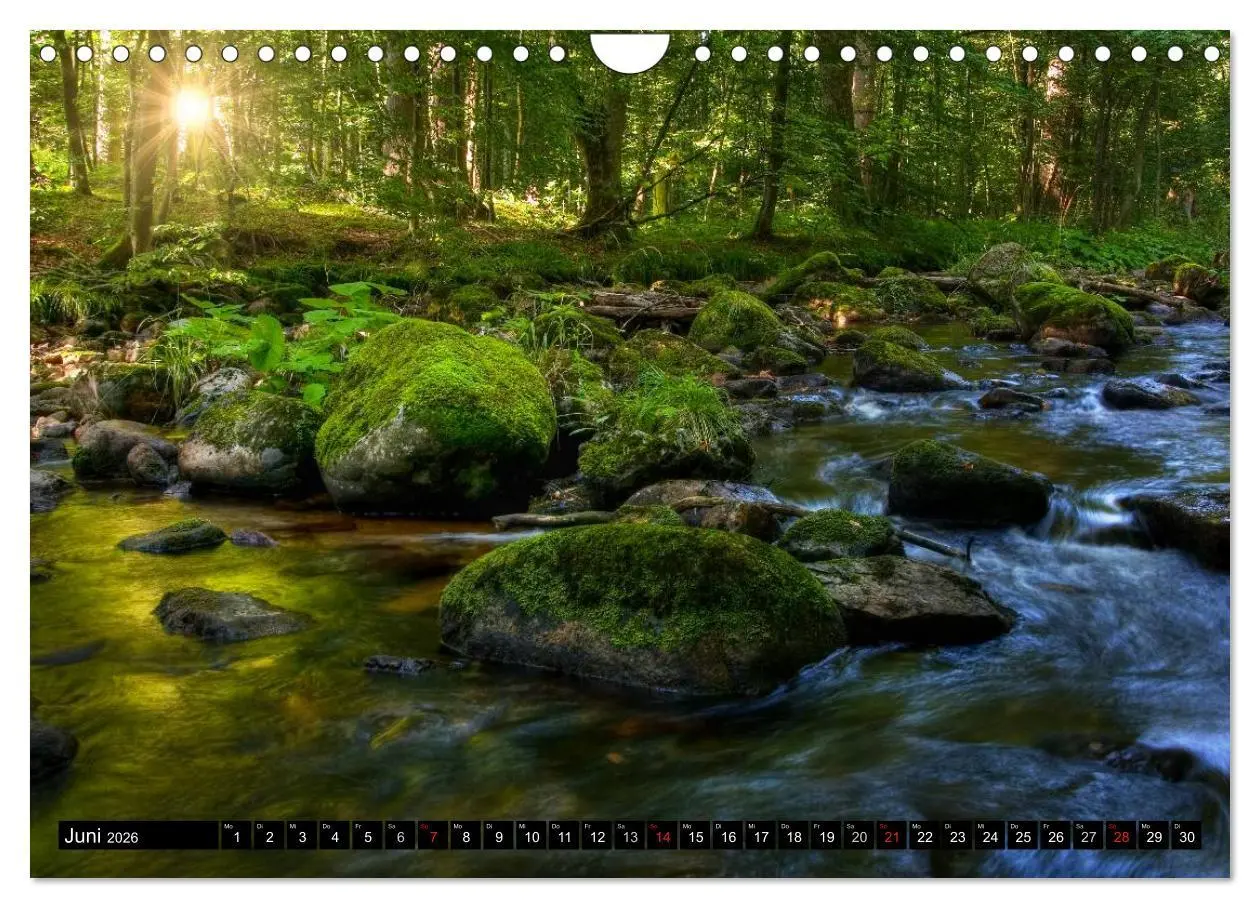 Bild: 9783516184327 | Harz Landschaften (Wandkalender 2026 DIN A4 quer), CALVENDO...