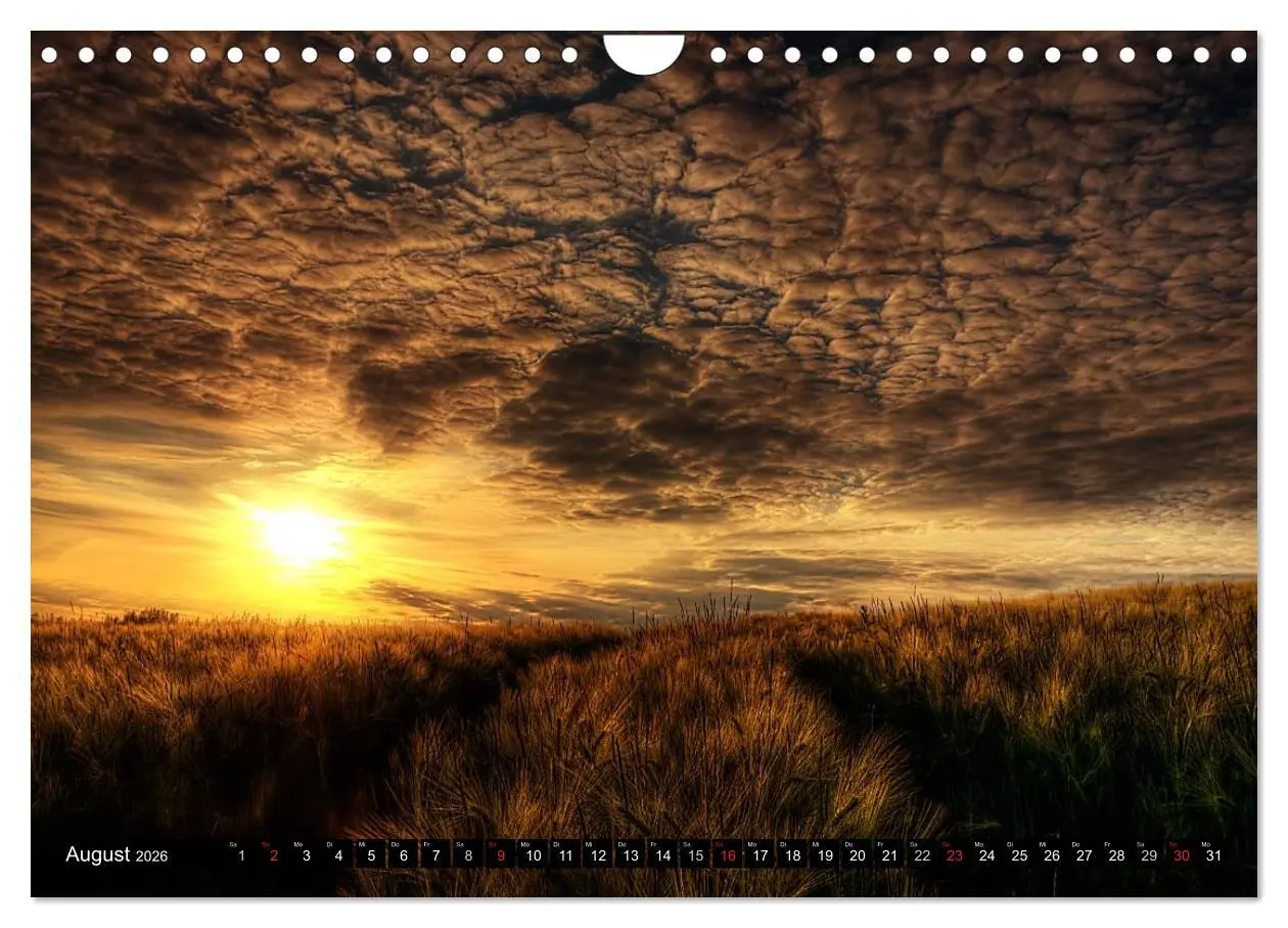 Bild: 9783516184327 | Harz Landschaften (Wandkalender 2026 DIN A4 quer), CALVENDO...