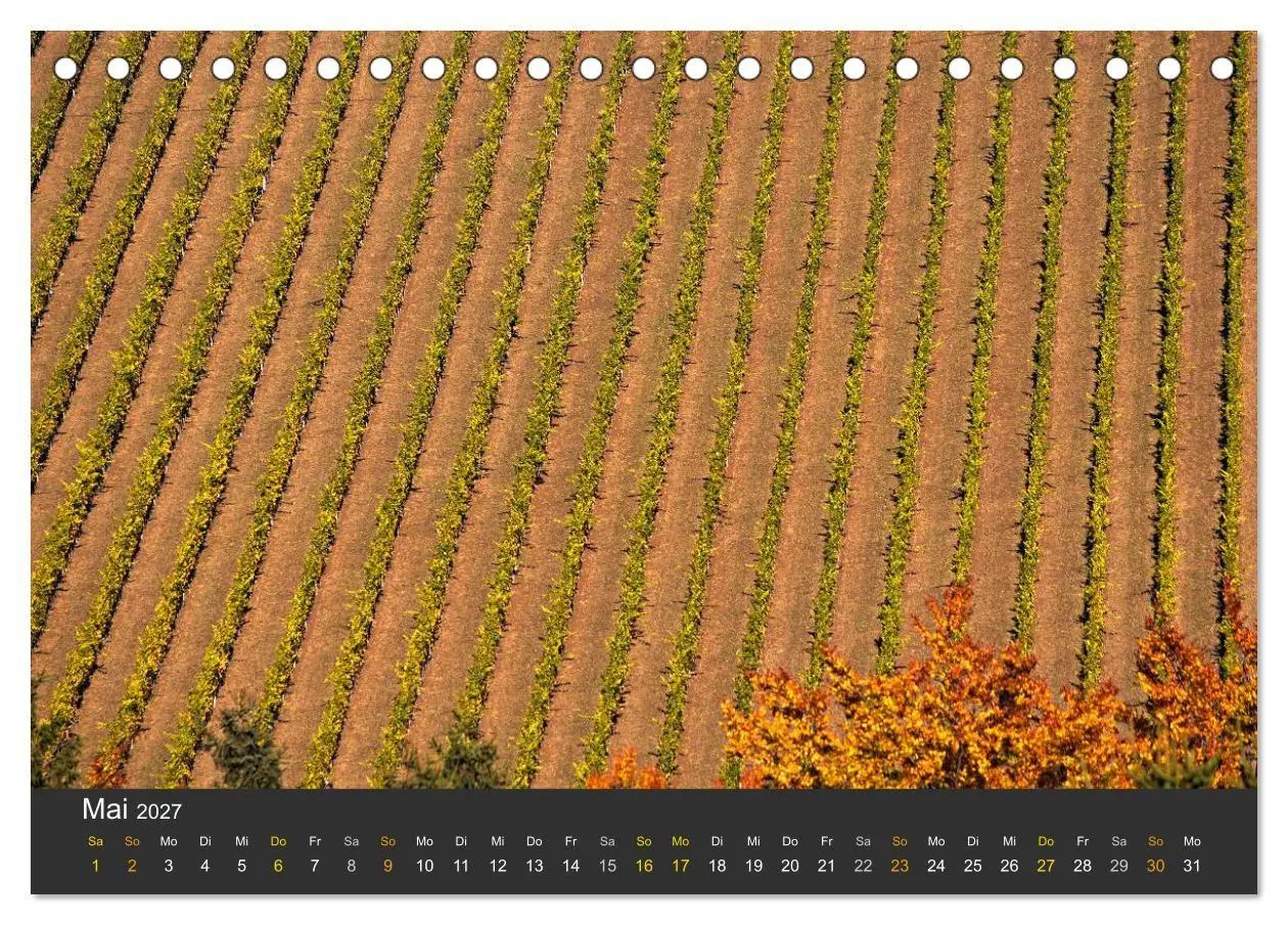 Bild: 9783594164327 | Die Südsteirischen Weinstrasse (Tischkalender 2027 DIN A5 quer),...