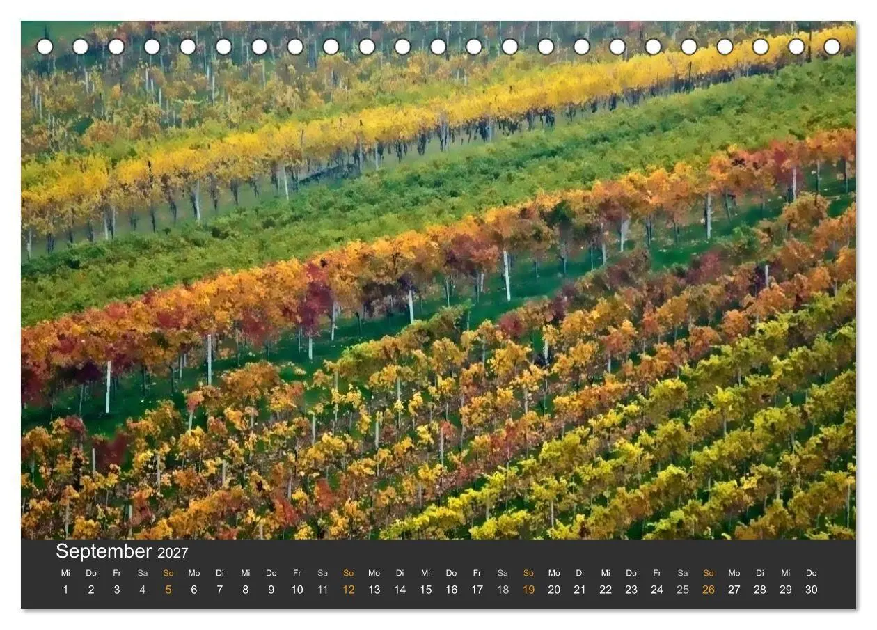 Bild: 9783594164327 | Die Südsteirischen Weinstrasse (Tischkalender 2027 DIN A5 quer),...