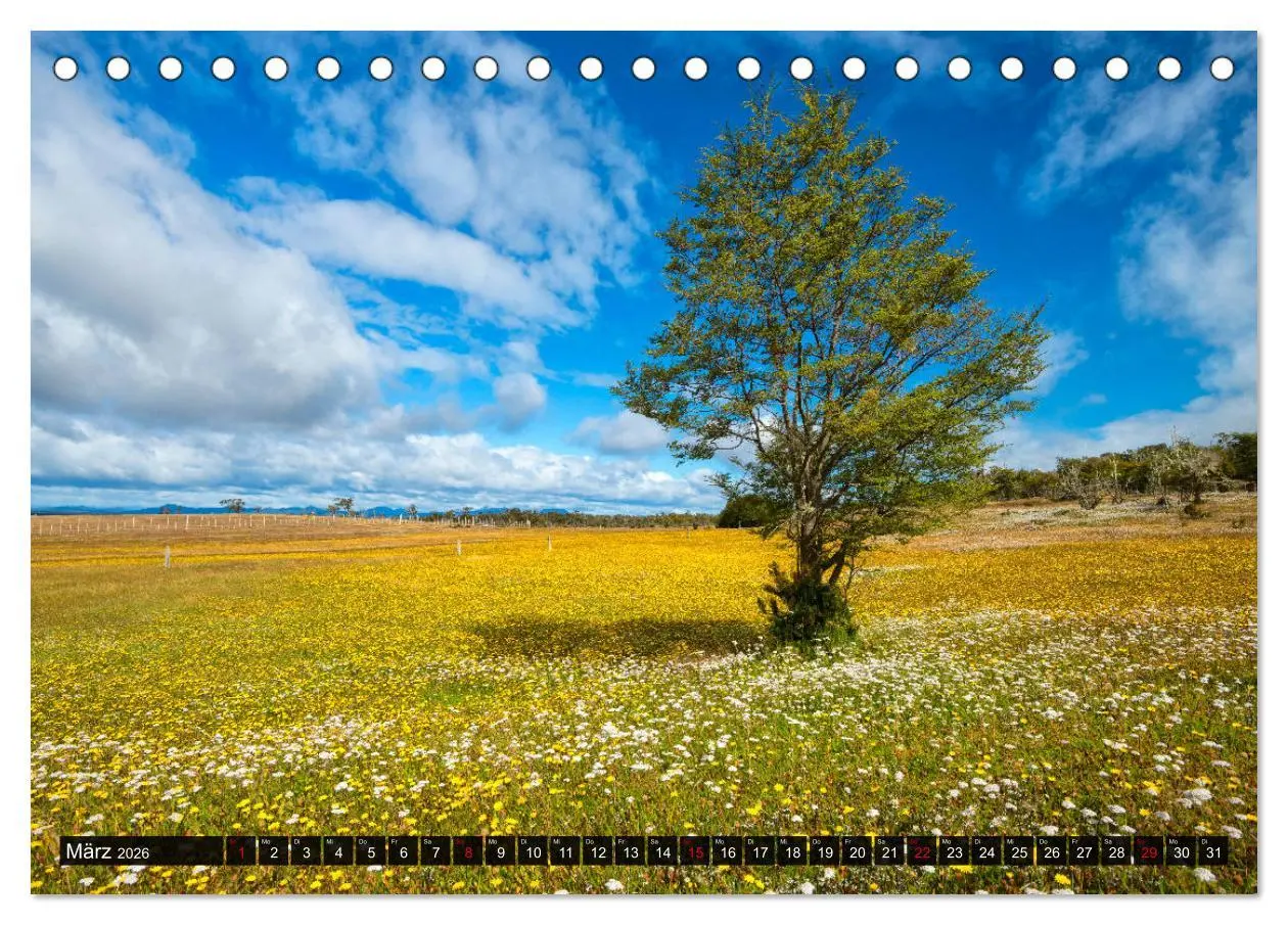 Bild: 9783457774427 | Patagonien und Feuerland (Tischkalender 2026 DIN A5 quer), CALVENDO...