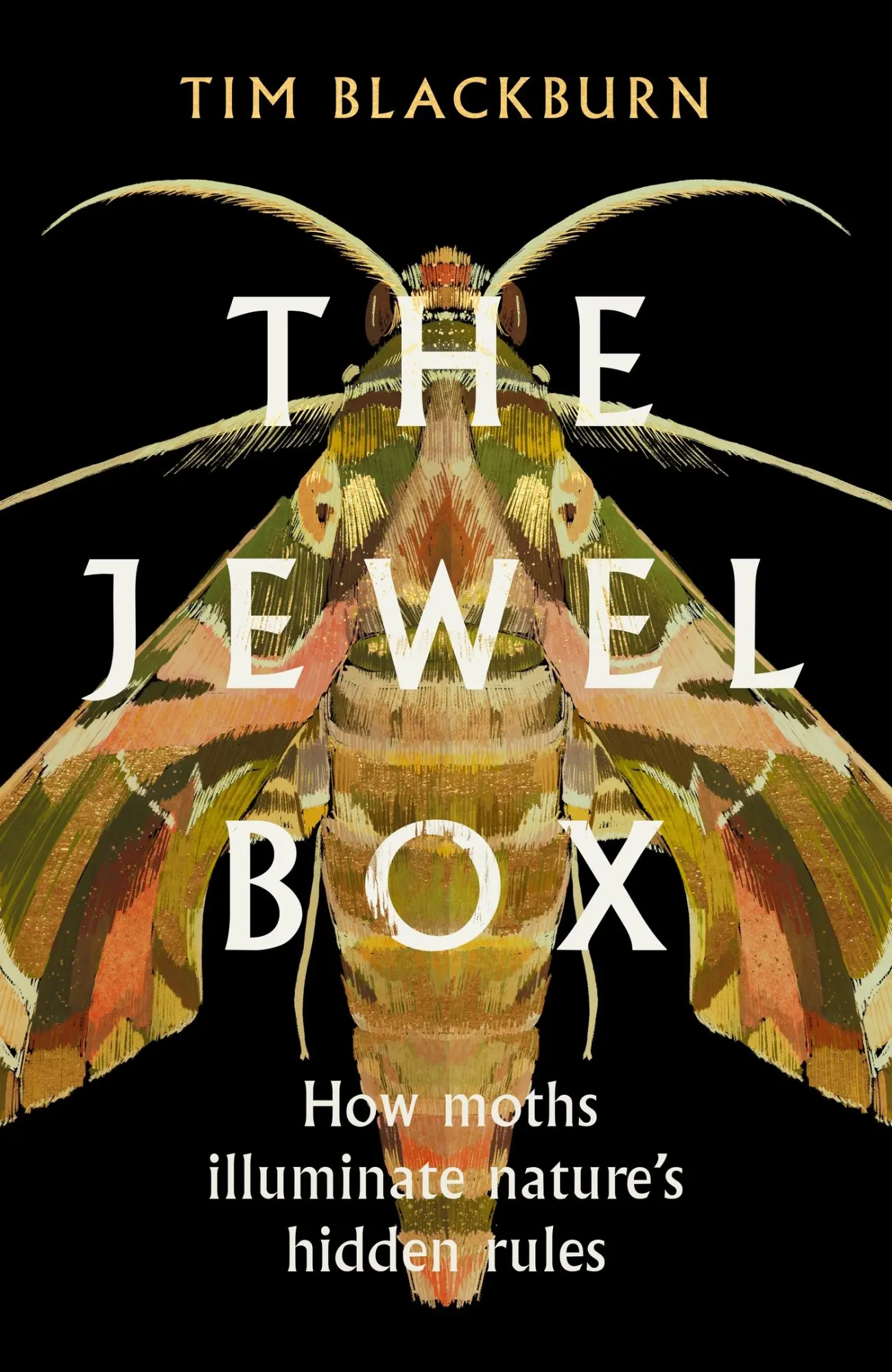Cover: 9781474624527 | The Jewel Box | How Moths Illuminate Nature's Hidden Rules | Blackburn