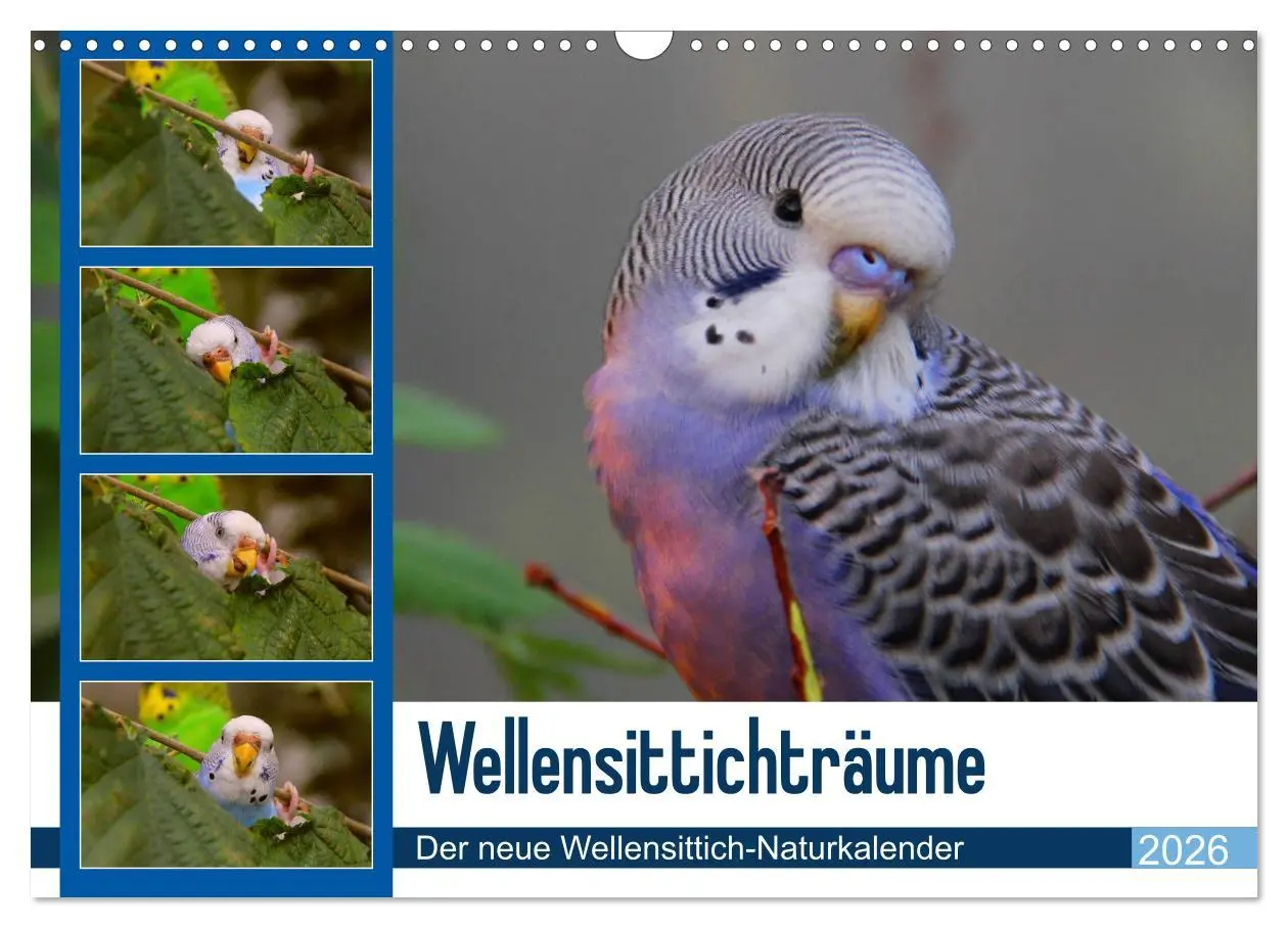 Cover: 9783457904527 | Wellensittichträume - Der neue Wellensittich-Naturkalender...